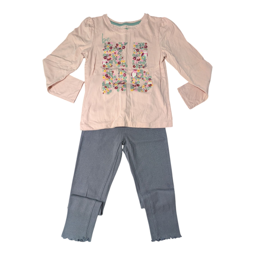 365 KIds Garanimals 2pc-KIND Pink top with flowers and owls- with gray leggings